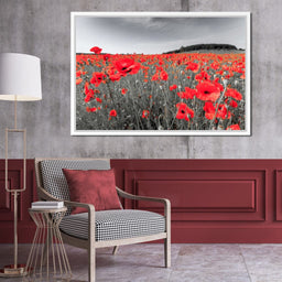 Flanders Fields - NicheCanvas