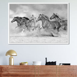 Black & White Horses Heard - NicheCanvas