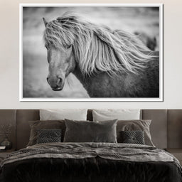 Icelandic Horse in Black & White - NicheCanvas