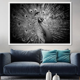 Black and White Peacock - NicheCanvas