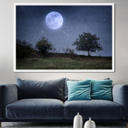 Beautiful Moonlight - NicheCanvas