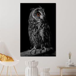 Black & White Owl - NicheCanvas