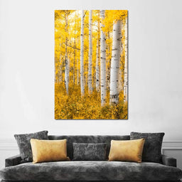 Yellow Forest - Colorado - Lucas Moore - NicheCanvas