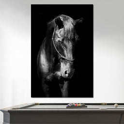 Black & White Horse Head - NicheCanvas