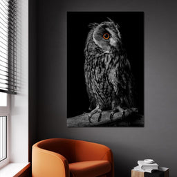 Black & White Owl - NicheCanvas