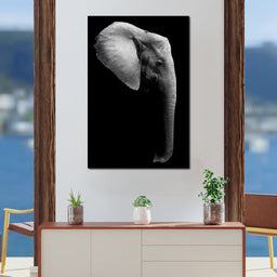 Black and White Elephant Head - NicheCanvas