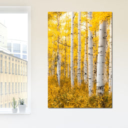Yellow Forest - Colorado - Lucas Moore - NicheCanvas