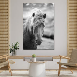 Icelandic Horse - NicheCanvas
