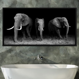 Black and White Elephants - NicheCanvas
