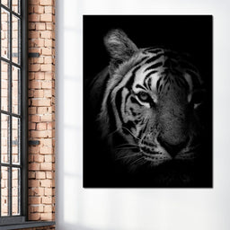Black and White Fading Tiger - NicheCanvas