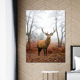 Red Deer Stag - NicheCanvas