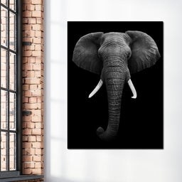 Black and White Elephant Face | NicheCanvas