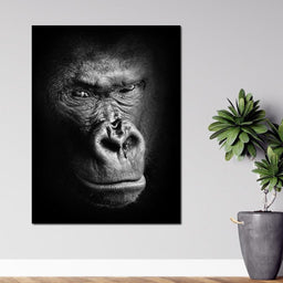 Black and White Gorilla - NicheCanvas