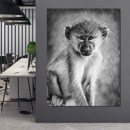 Monkey in Black & White - NicheCanvas