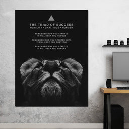 The Triad of Success - ABConcepts - NicheCanvas