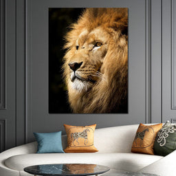 Lion View - Milos Karanovic - NicheCanvas