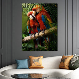 Beautiful Parrots - Milos Karanovic - NicheCanvas