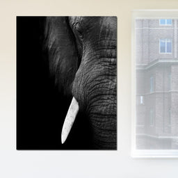 Black and White Elephant Close up - NicheCanvas