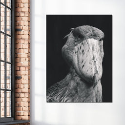 Black and White Shoebill Stork - NicheCanvas