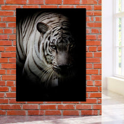 Black and White Tiger - NicheCanvas