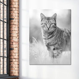 Black & White Kitty Cat - Ben Heine - NicheCanvas