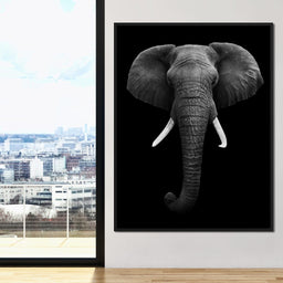 Black and White Elephant Face - NicheCanvas