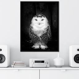 Black and White Snowy Owl - NicheCanvas