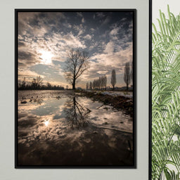 Reflections - Enzo - NicheCanvas