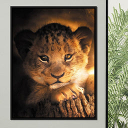 Lion Cub - Zenzdesign - NicheCanvas