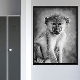 Monkey in Black & White - NicheCanvas