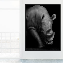 Black and White Rhino - NicheCanvas