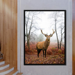 Red Deer Stag - NicheCanvas