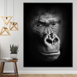 Black and White Gorilla - NicheCanvas