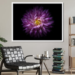 Backyard Flowers Series 1 - Brian Carson - NicheCanvas