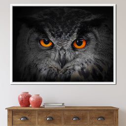 Black & White Owl with Orange Eyes - NicheCanvas
