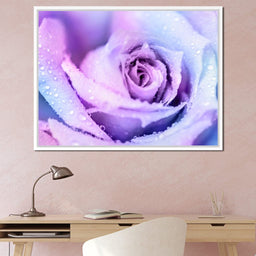 Winter Rose - NicheCanvas