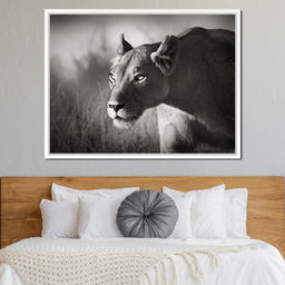 Lioness - NicheCanvas