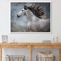 andalusian horse - NicheCanvas