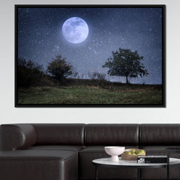 Beautiful Moonlight | NicheCanvas