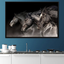 Three Black Stallions - NicheCanvas
