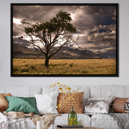 Stormy Afternoon - NicheCanvas