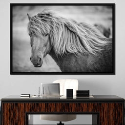 Icelandic Horse in Black & White - NicheCanvas