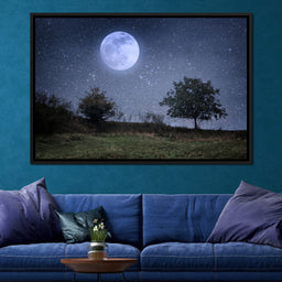 Beautiful Moonlight - NicheCanvas
