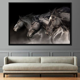 Three Black Stallions - NicheCanvas