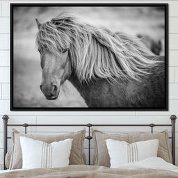 Icelandic Horse in Black & White - NicheCanvas