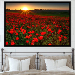 Red Poppies Field - NicheCanvas