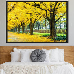 Yellow Ginkgo Trees - NicheCanvas