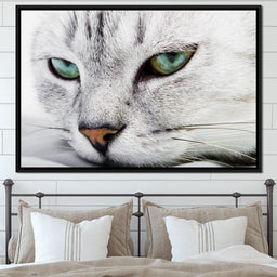 Cat Relaxing - NicheCanvas