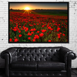 Red Poppies Field - NicheCanvas