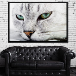 Cat Relaxing - NicheCanvas